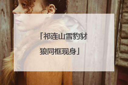 祁连山雪豹豺狼同框现身